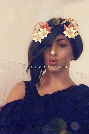 trans escort creteil|Escort Trans Cintia Prety en Créteil